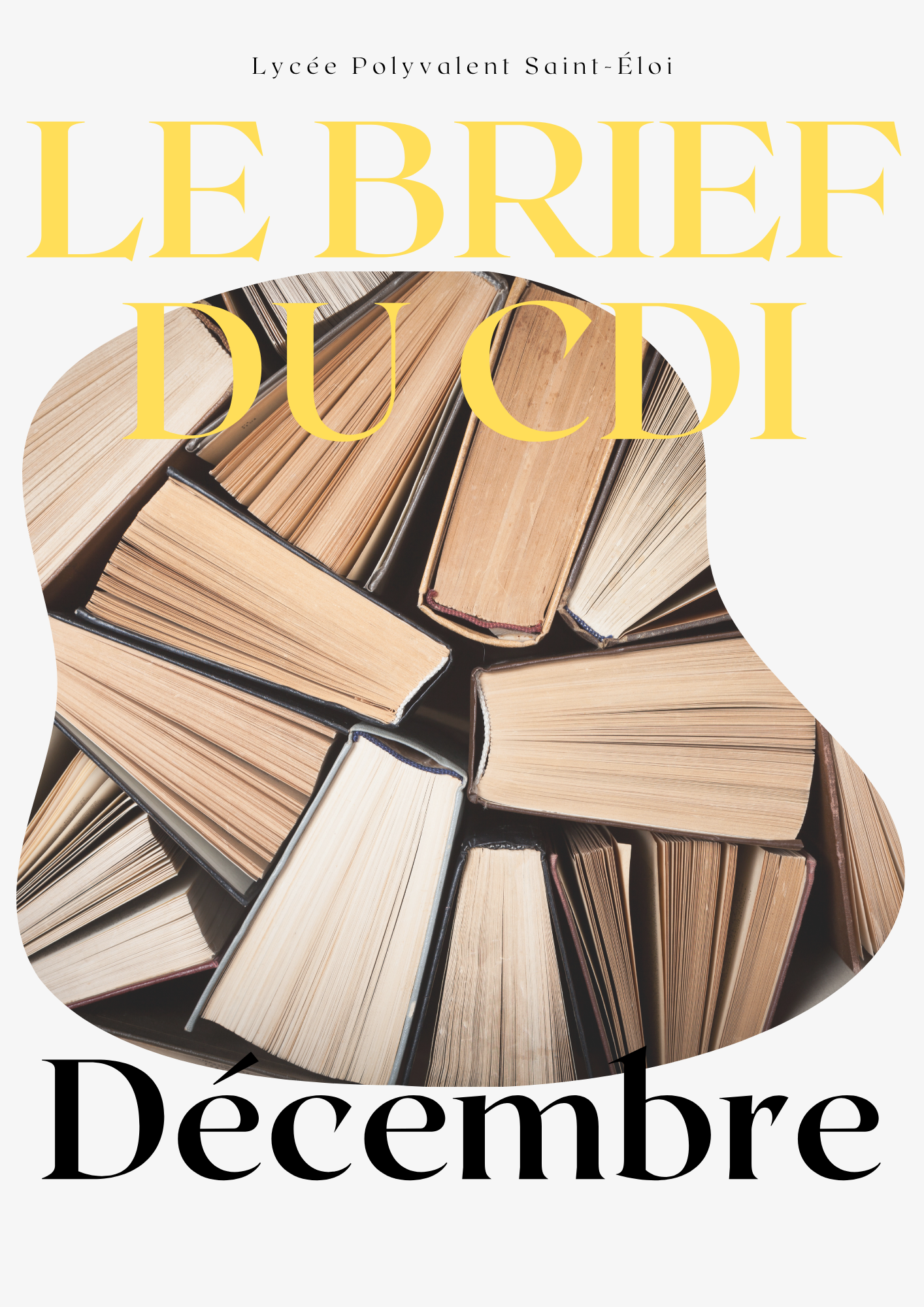 Visuel Newsletter décembre